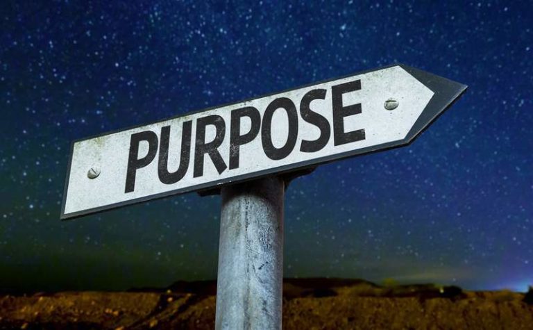 What Is A Word For Purpose